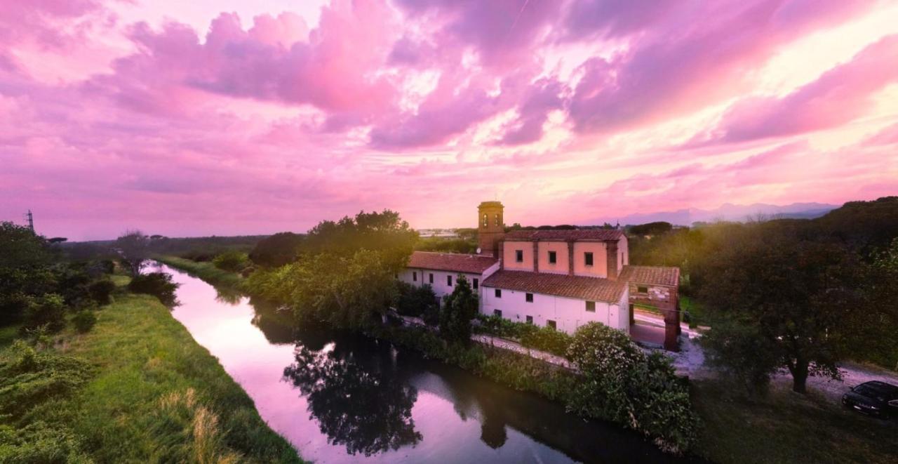 - Il Casale Toscano - 1900mt From Leaning Tower - No Breakfast - Free Parking
