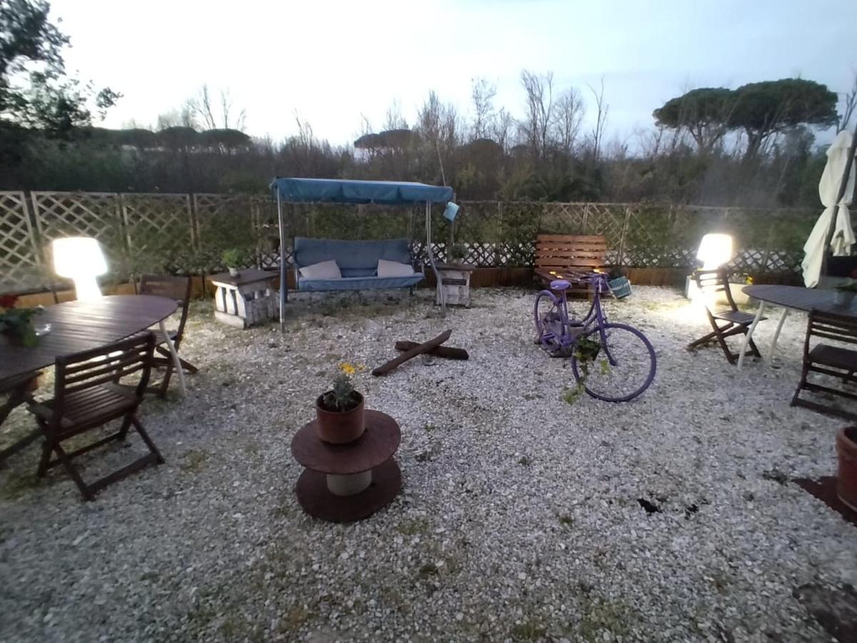 - Il Casale Toscano - 1900mt From Leaning Tower - No Breakfast - Free Parking Casa de Campo