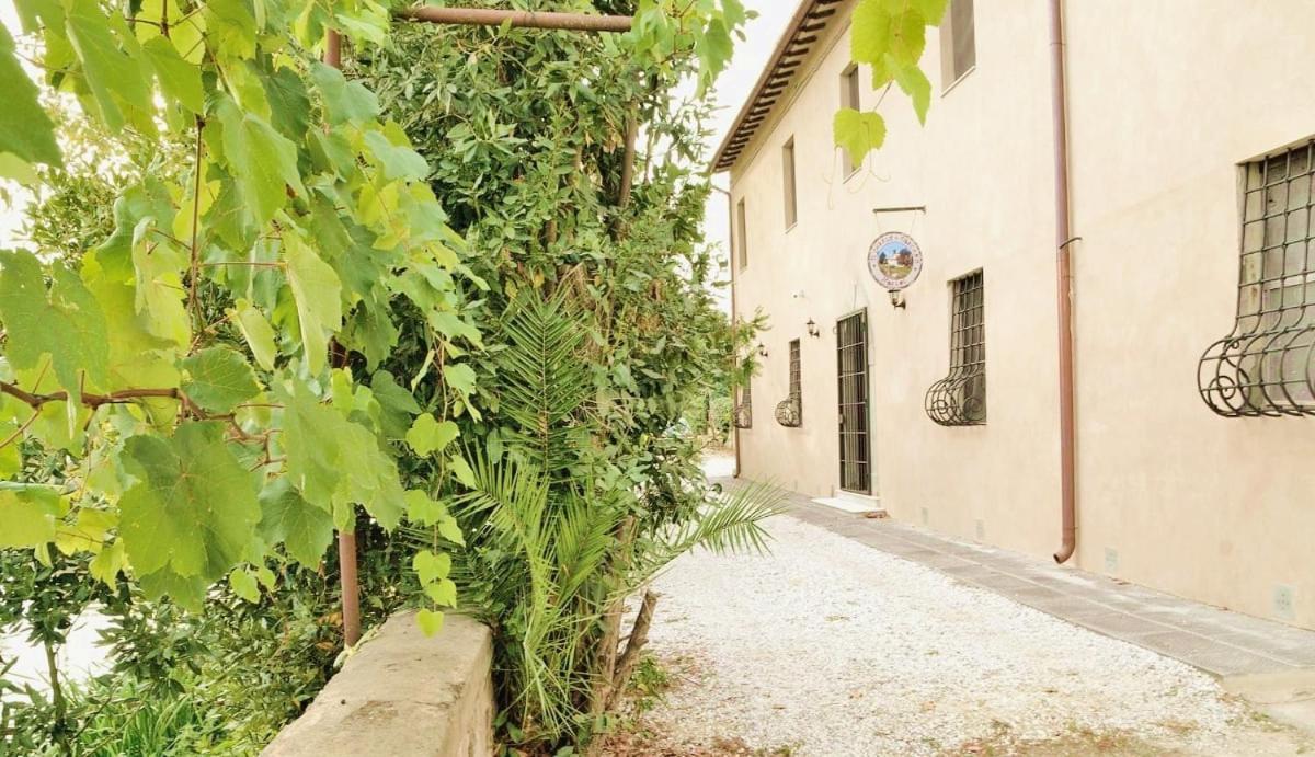 - Il Casale Toscano - 1900mt From Leaning Tower - No Breakfast - Free Parking Casa de Campo *